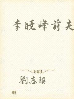 李晓峰前夫是谁封面