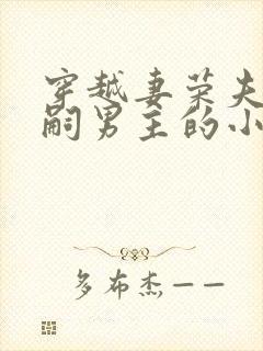 穿越妻荣夫贵绝嗣男主的小说封面