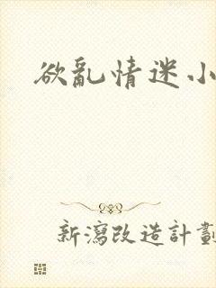 欲乱情迷小说