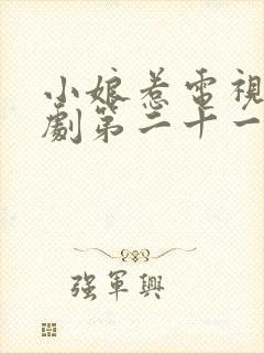 小娘惹电视连续剧第二十一集
