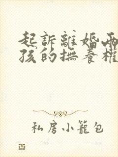 起诉离婚两个小孩的抚养权怎么判