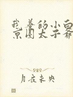 我养的小白脸是京圈太子爷短剧下载封面
