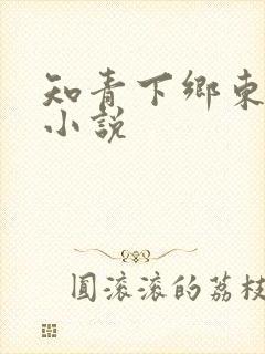 知青下乡东北的小说