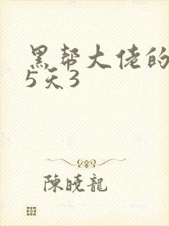 黑帮大佬的365天3