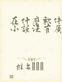 在什么软件上看小说没有广告封面