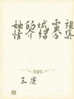 她的城电视剧剧情介绍分集