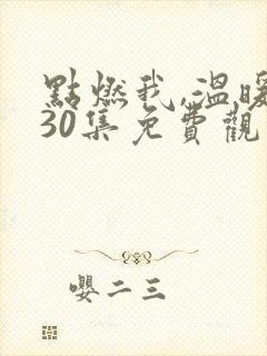 点燃我,温暖你30集免费观看