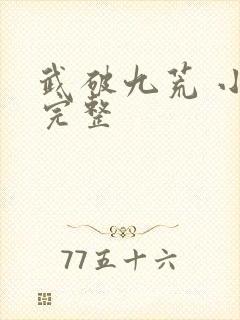 武破九荒 小说完整