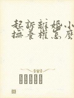起诉离婚小孩的抚养权怎么判封面