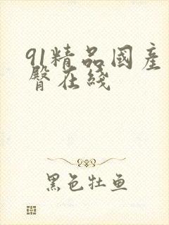 91精品国产蜜臀在线