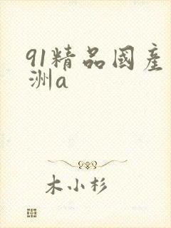 91精品国产亚洲a