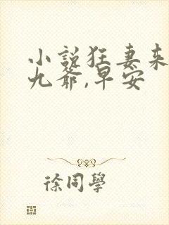 小说狂妻来袭,九爷,早安