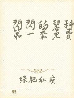 闪闪的儿科医生第一季免费观看完整