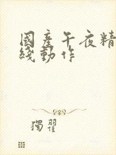 国产午夜精品在线动作