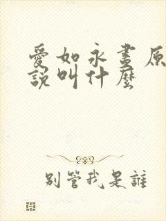 爱如永昼原著小说叫什么