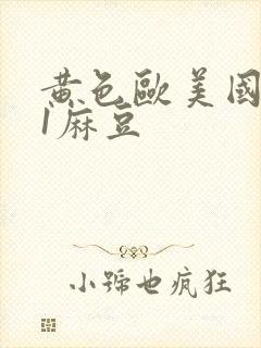 黄色欧美国产91麻豆