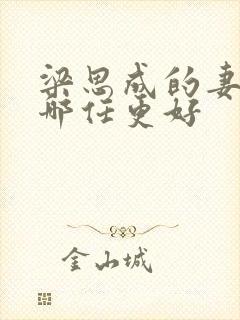 梁思成的妻子 哪任更好