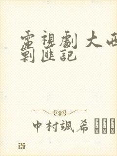 电视剧 大西南剿匪记