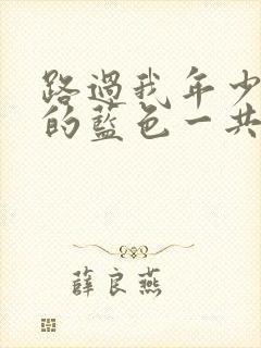 路过我年少时光的蓝色一共多少集