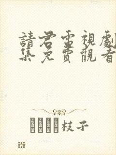 请君电视剧42集免费观看
