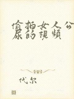 偷拍女人公厕尿尿的视频