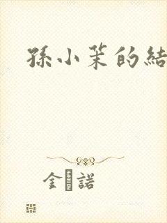 孙小茉的结局封面