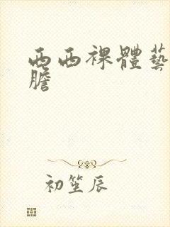 西西裸体艺术大胆封面