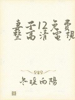 妻子12免费完整高清电视剧在线观看