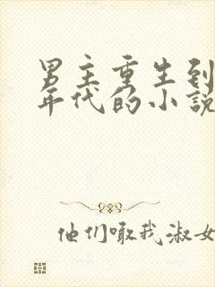 男主重生到70年代的小说