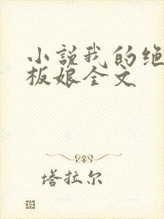 小说我的绝美老板娘全文