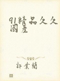 91精品久久久国产