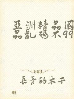 亚洲精品国产精品乱码不99小说