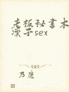 老板秘书木下凛凛子sex