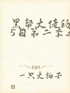 黑帮大佬的365日第二季无删减
