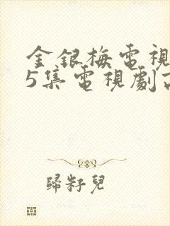 金银梅电视剧第5集电视剧高清版免费观看