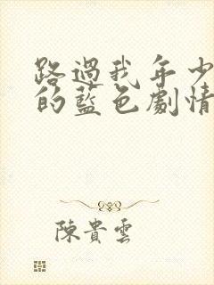 路过我年少时光的蓝色剧情介绍