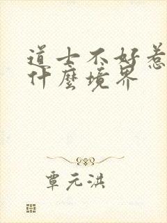 道士不好惹主角什么境界封面