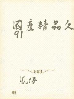 国产精品久久久 91
