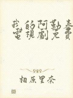 我的阿勒泰高清电视剧免费观看