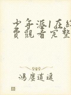 少年派1在线免费观看完整版封面