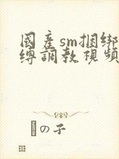 国产sm捆绑束缚调教视频