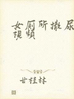 女厕所撒尿偷拍视频封面