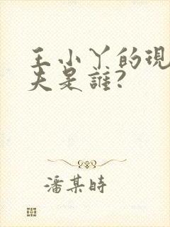 王小丫的现任丈夫是谁?封面