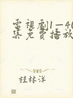 电视剧1—40集免费播放