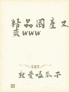 精品国产又爽又爽www