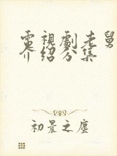 电视剧老舅剧情介绍分集