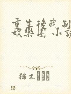 重生后我制霸了娱乐圈 小说