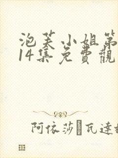 泡芙小姐第六季14集免费观看全集