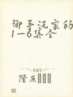 御手洗家的破洞1—6集全