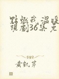 点燃我温暖你电视剧36集免费观看